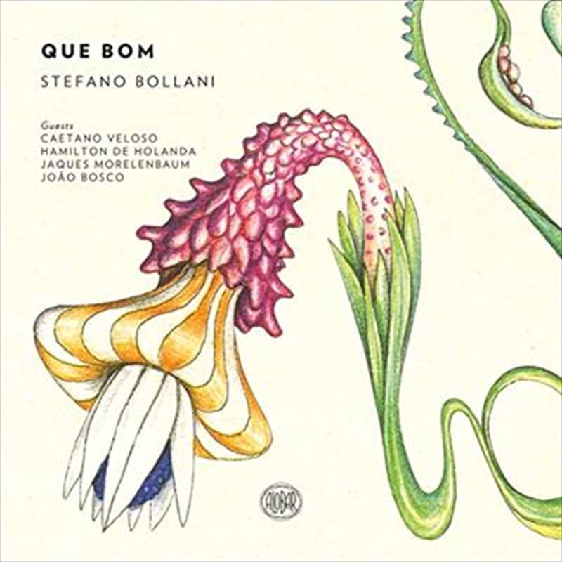 Que Bom/Product Detail/Jazz