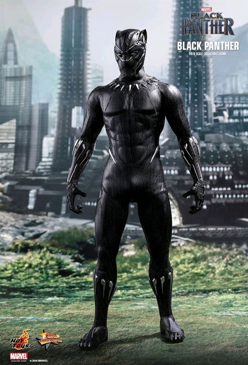 Black Panther - Black Panther 12" 1:6 Scale Action Figure/Product Detail/Figurines