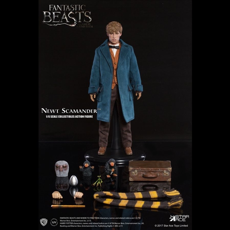 Fantastic Beasts and Where To Find Them - Newt Scamander 1:6 Scale Action Figure/Product Detail/Figurines