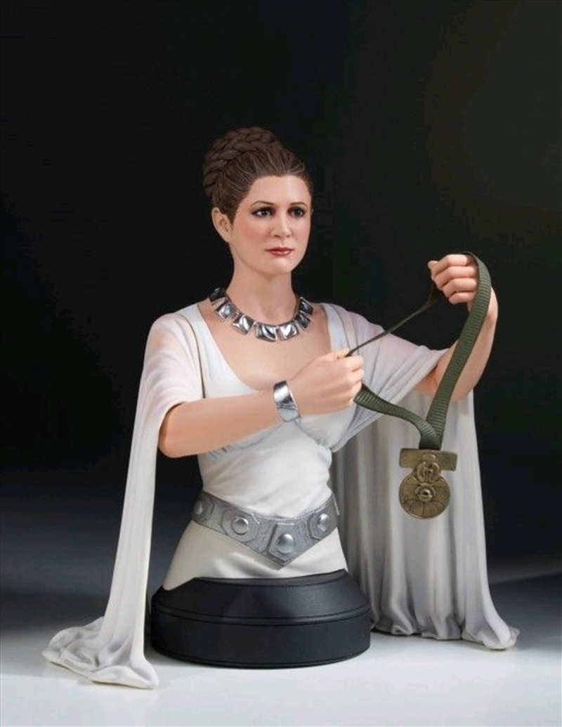 Star Wars - Princess Leia Hero of Yavin Mini Bust/Product Detail/Figurines