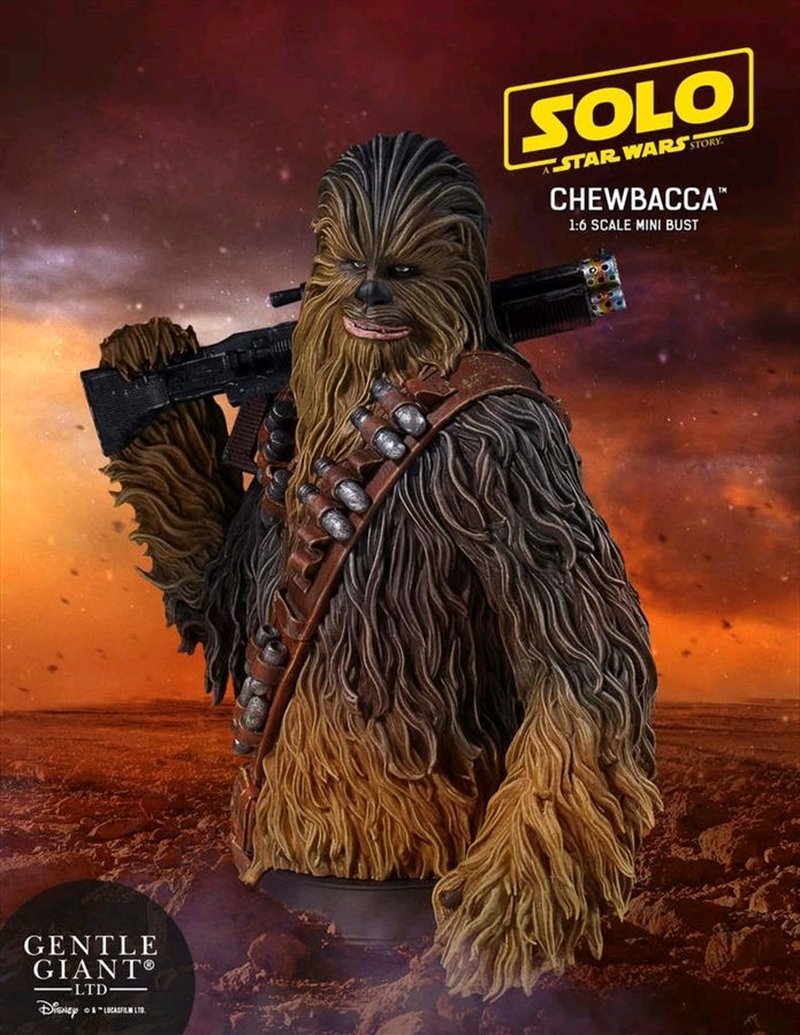 Star Wars: Solo - Chewbacca Mini Bust/Product Detail/Figurines