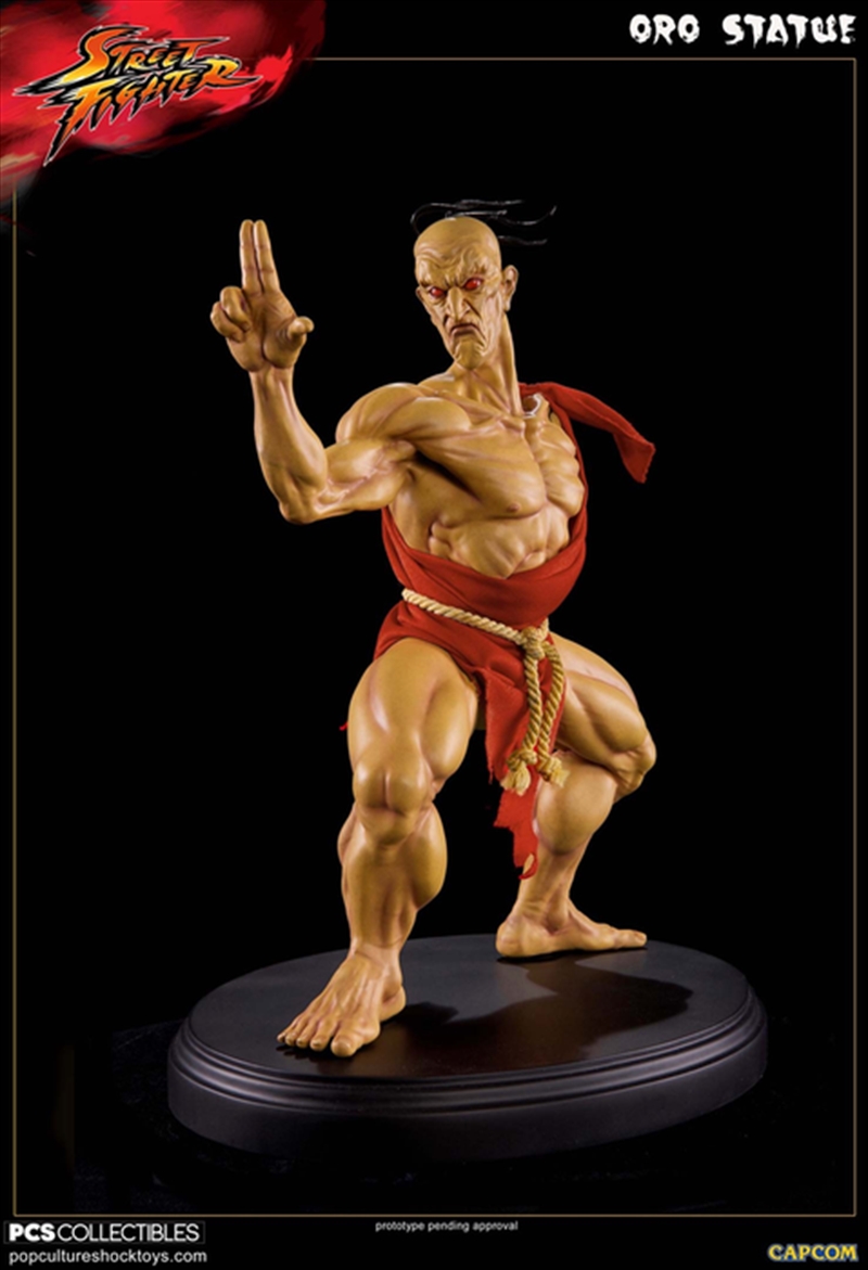 Street Fighter - Oro 1:4 Scale Statue/Product Detail/Statues