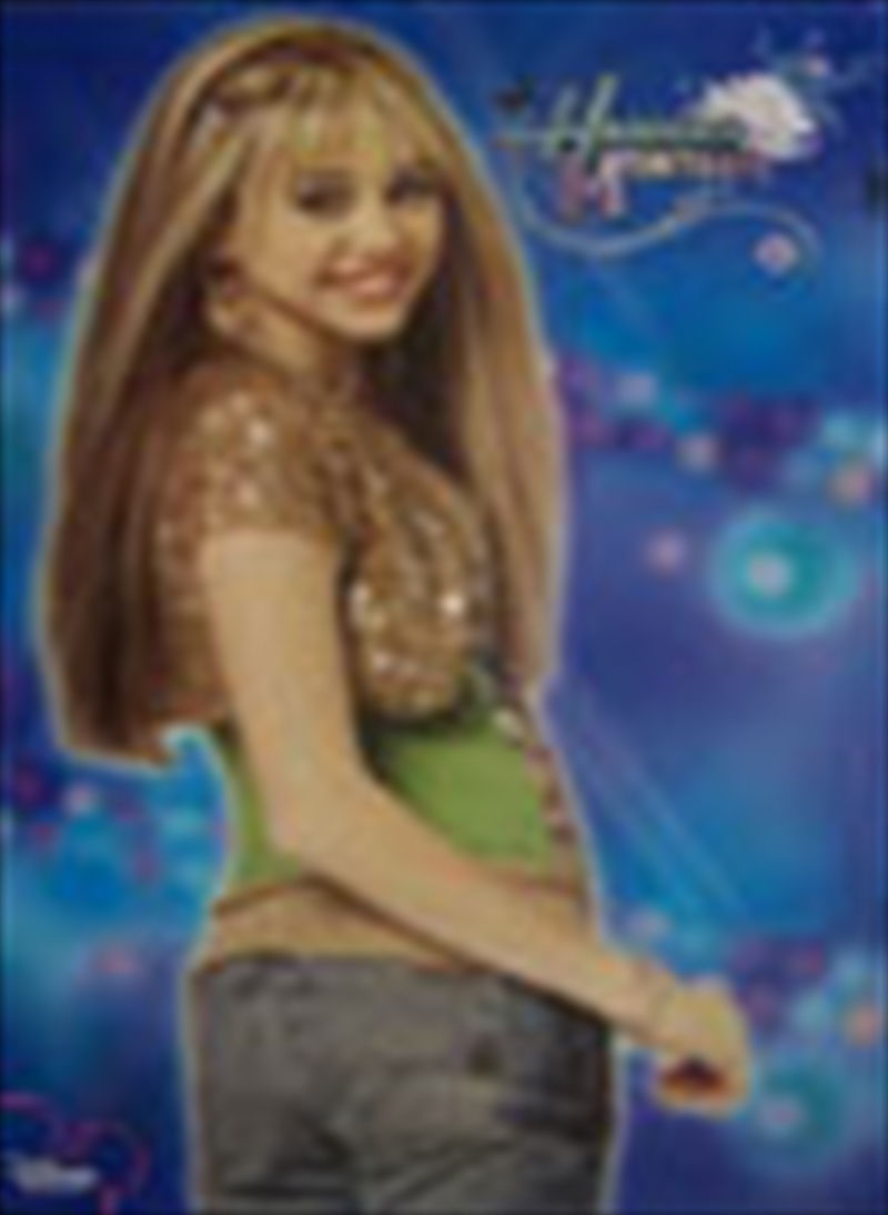 Hannah Montana Poster/Product Detail/Posters & Prints