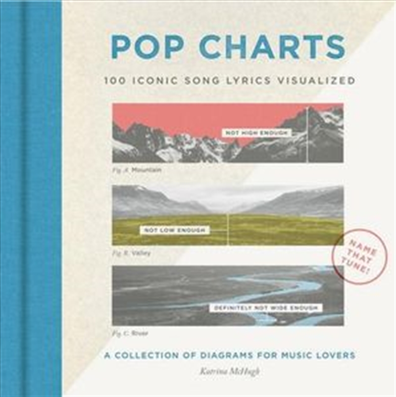Pop Charts 100 Iconic Song Lyrics Visualized/Product Detail/Adult Books