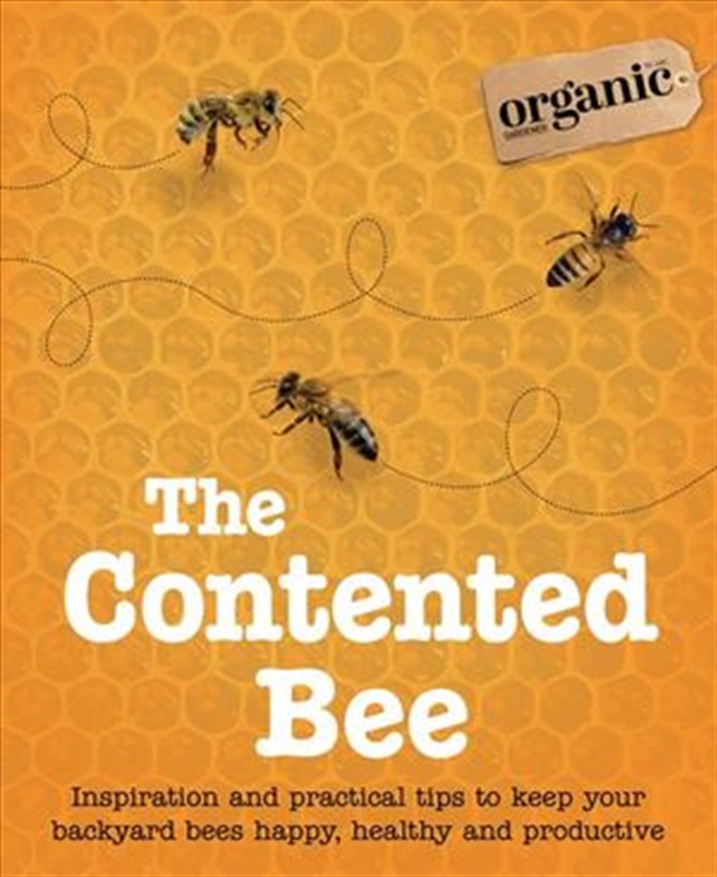 The Contented Bee/Product Detail/Reading