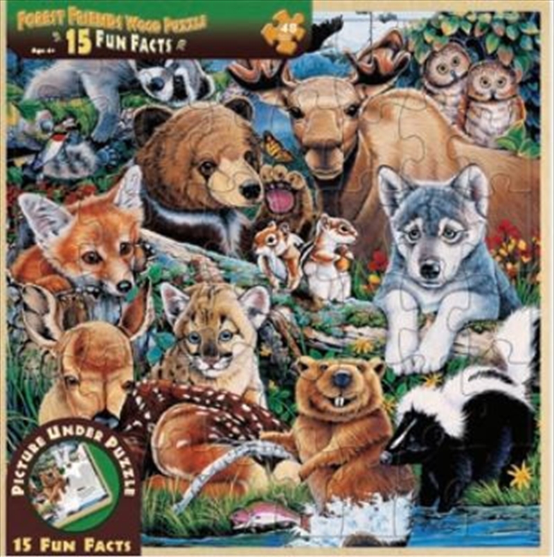 Forest Friends Wood Fun Facts Puzzle 48pc/Product Detail/Nature and Animals