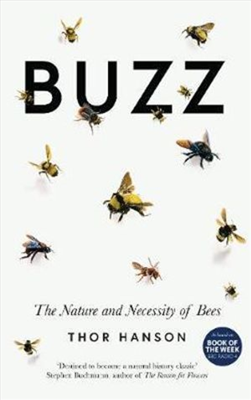 Buzz/Product Detail/Reading