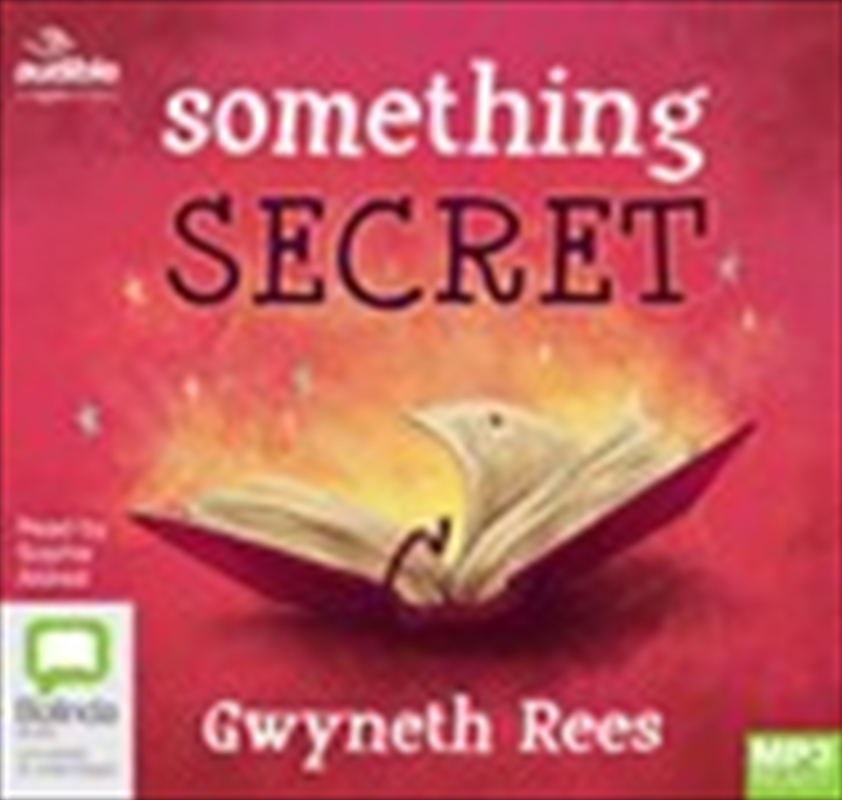 Something Secret/Product Detail/Childrens Fiction Books