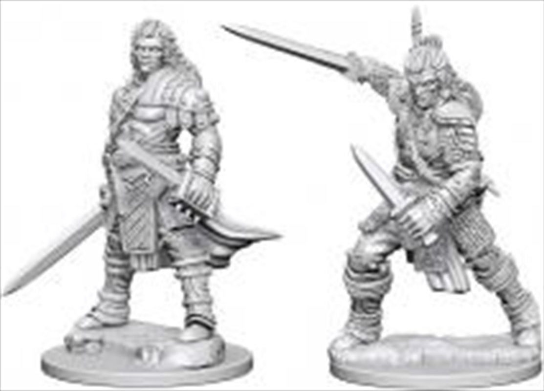 Pathfinder - Deep Cuts Unpainted Miniatures: Human Male Fighter/Product Detail/RPG Games