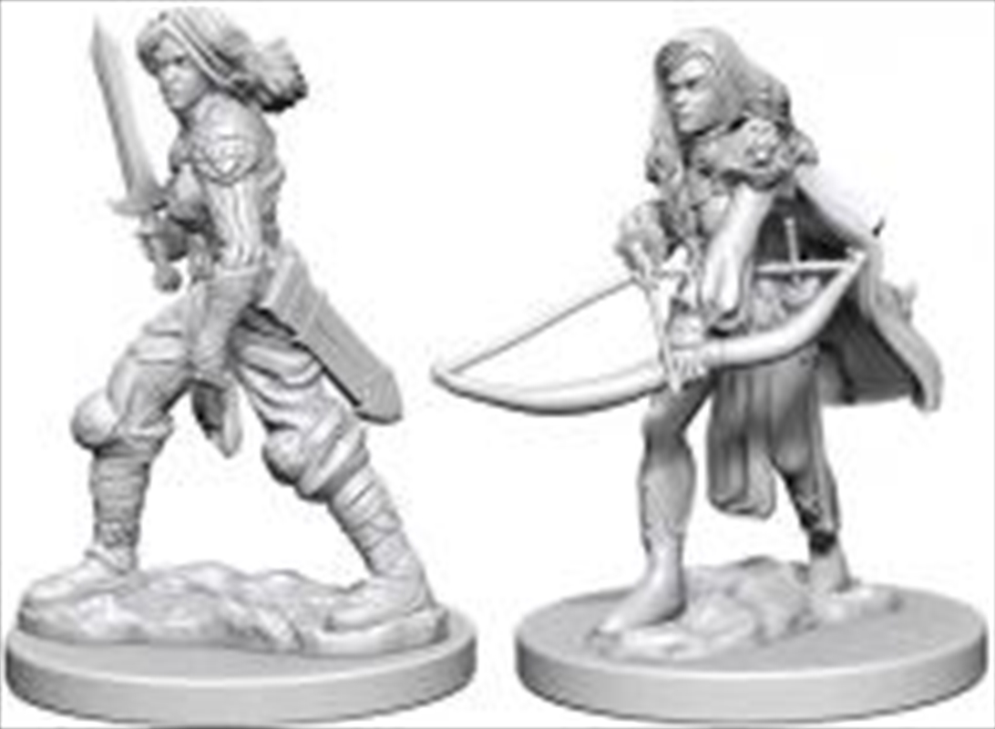 Pathfinder - Deep Cuts Unpainted Miniatures: Human Female Fighter/Product Detail/RPG Games