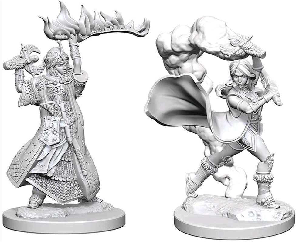 Pathfinder - Deep Cuts Unpainted Miniatures: Human Female Cleric/Product Detail/RPG Games