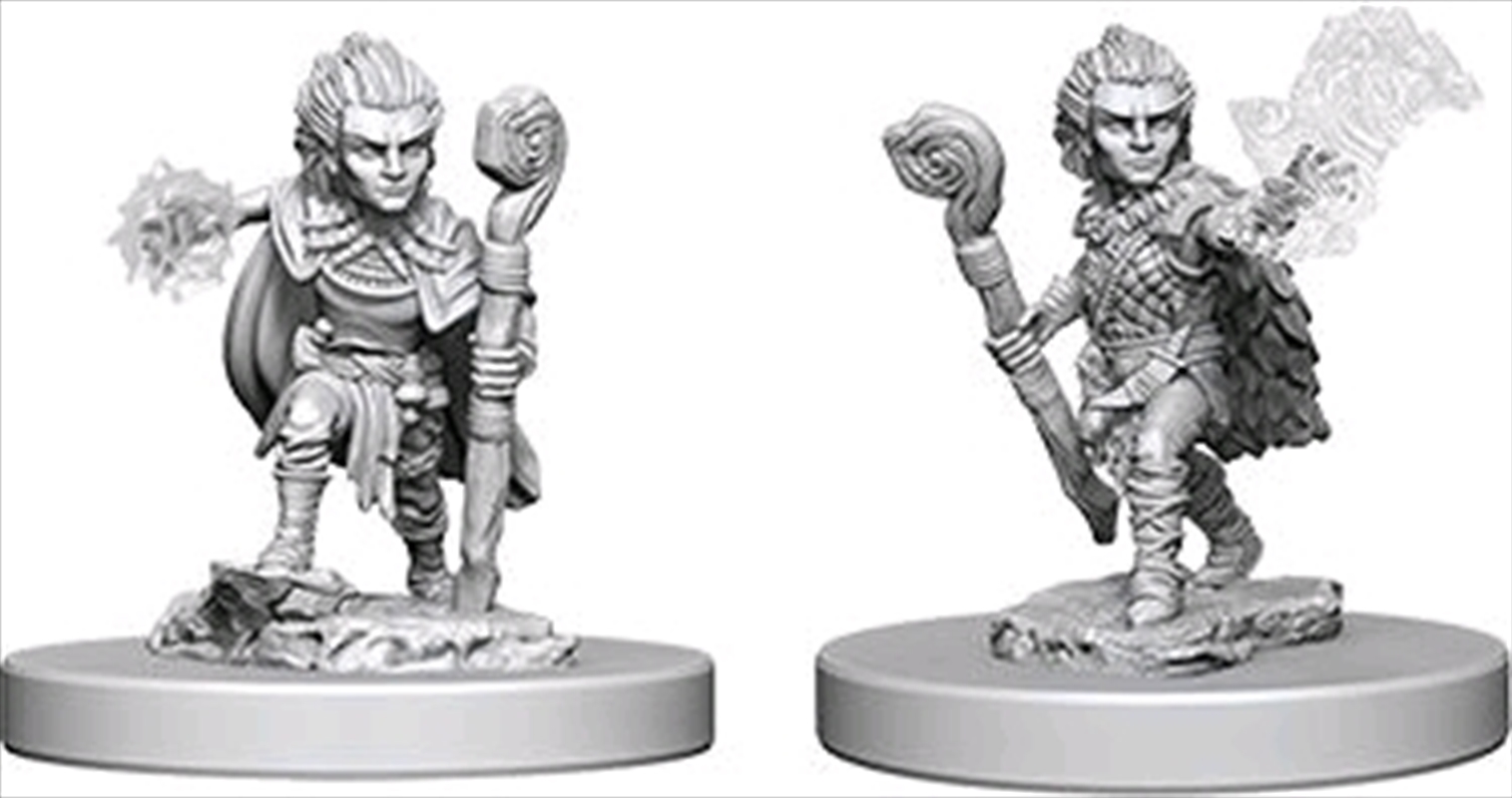 Pathfinder - Deep Cuts Unpainted Miniatures: Gnome Male Druid/Product Detail/RPG Games