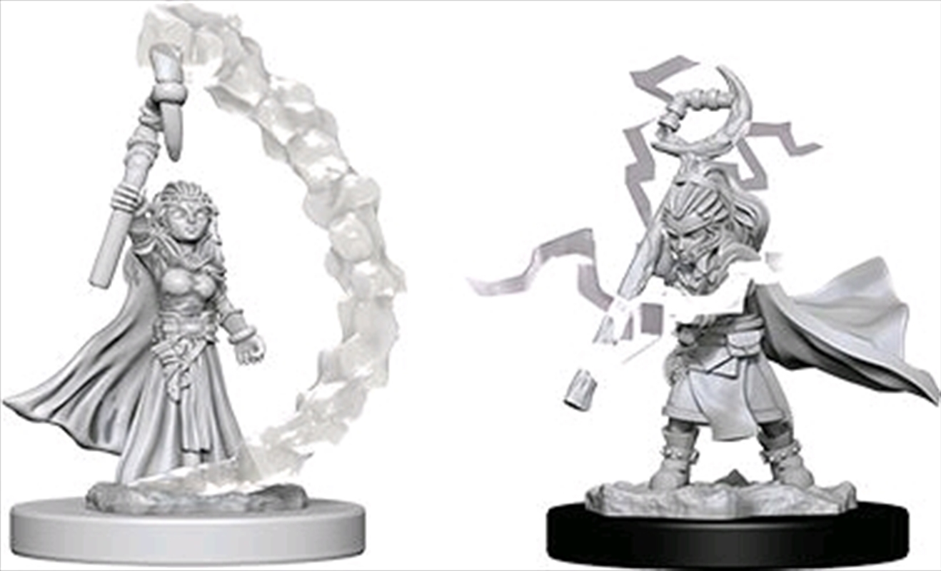 Pathfinder - Deep Cuts Unpainted Miniatures: Gnome Female Sorcerer/Product Detail/RPG Games