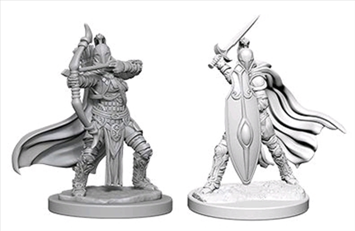 Pathfinder - Deep Cuts Unpainted Miniatures: Female Knights / Gray Maidens/Product Detail/RPG Games