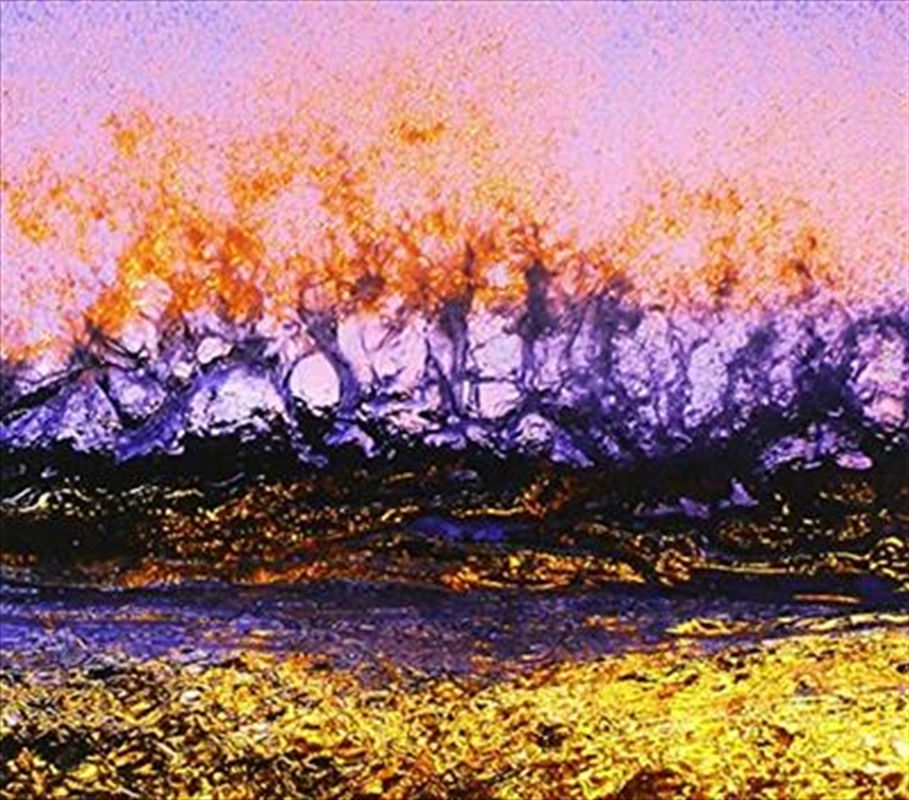 Tide/Product Detail/Punk