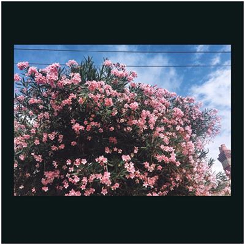 Stretch Ur Skin/Product Detail/Rock