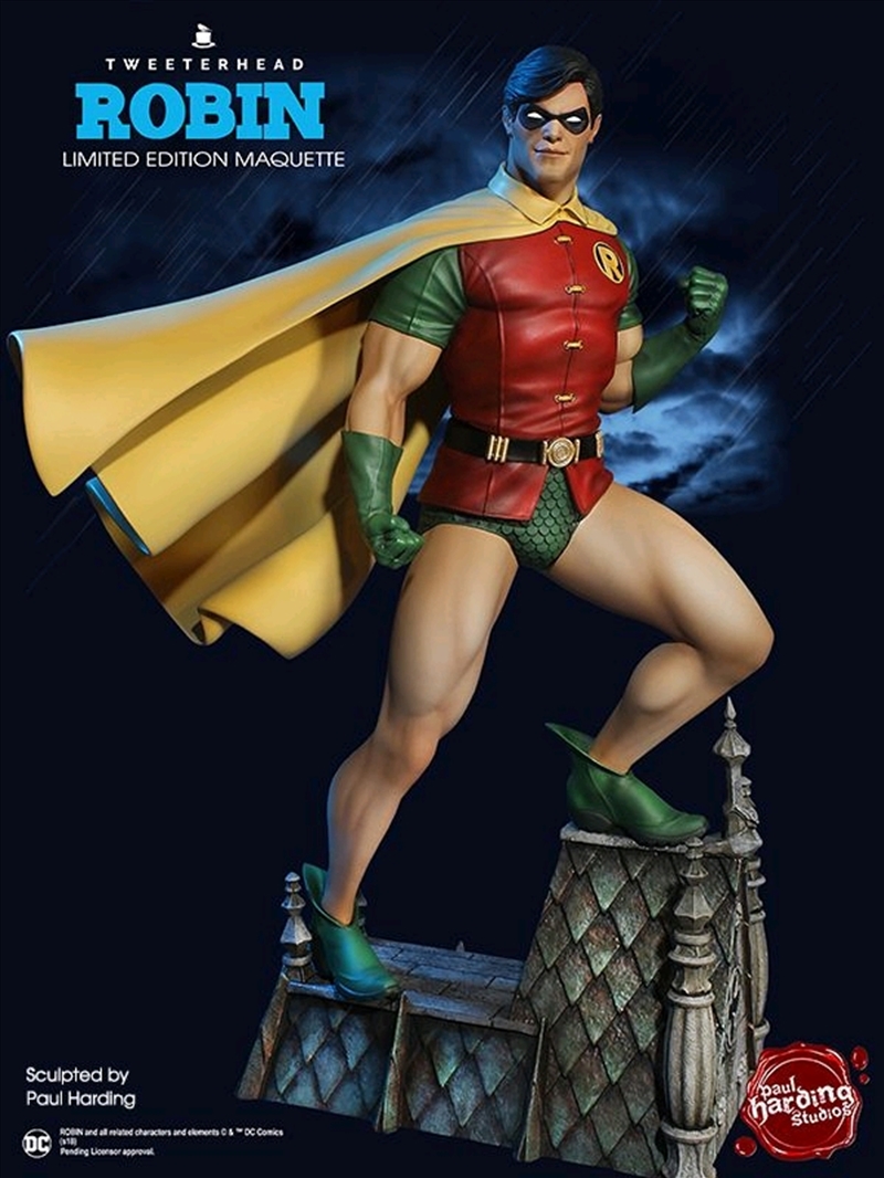 Batman - Robin Super Powers Maquette/Product Detail/Statues
