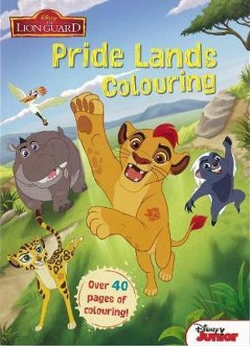 Disney Junior The Lion Guard Pride Lands Colouring/Product Detail/Kids Colouring