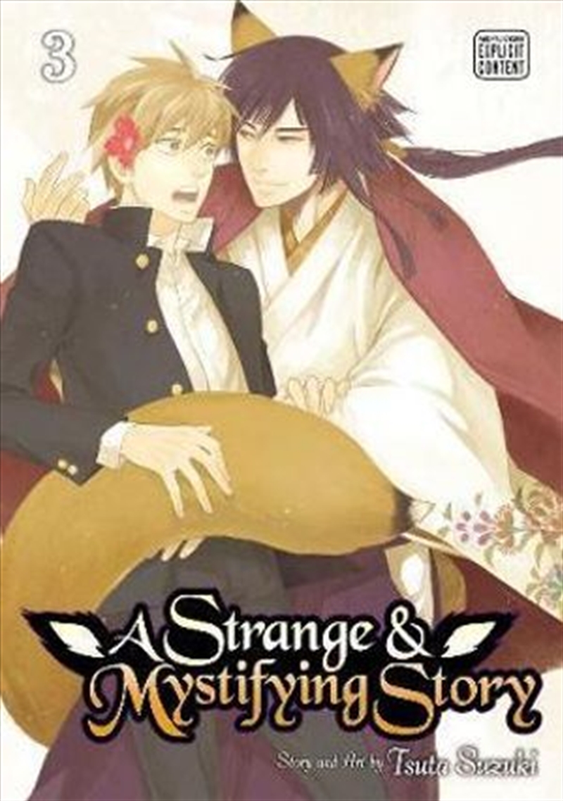 Strange & Mystifying Story, Vol. 3/Product Detail/Graphic Novels