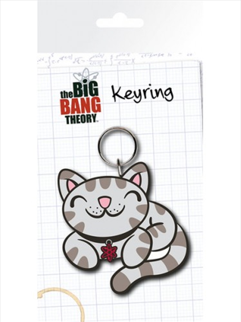 Big Bang Theory Kitty Keyring/Product Detail/Keyrings
