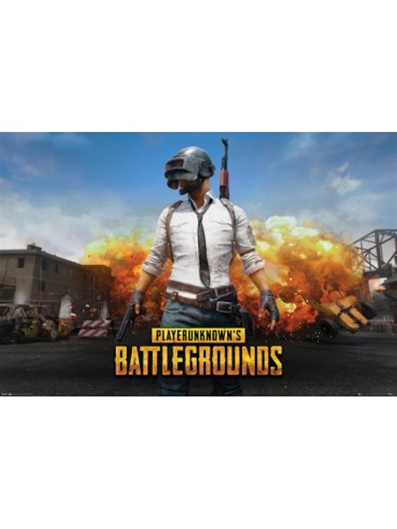 PUBG Playerunknown/Product Detail/Posters & Prints