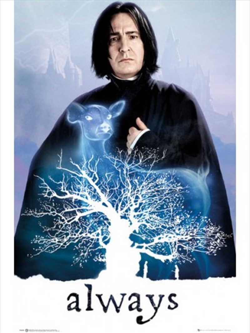 Harry Potter Snape Always/Product Detail/Posters & Prints