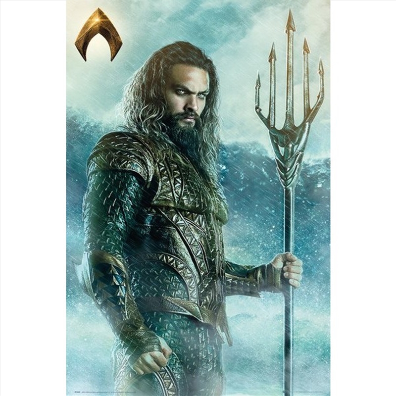 DC Comics Justice League Aquaman Trident/Product Detail/Posters & Prints