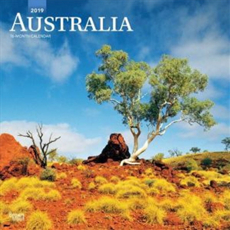 Australia 2019 Square Wall Calendar/Product Detail/Calendars & Diaries