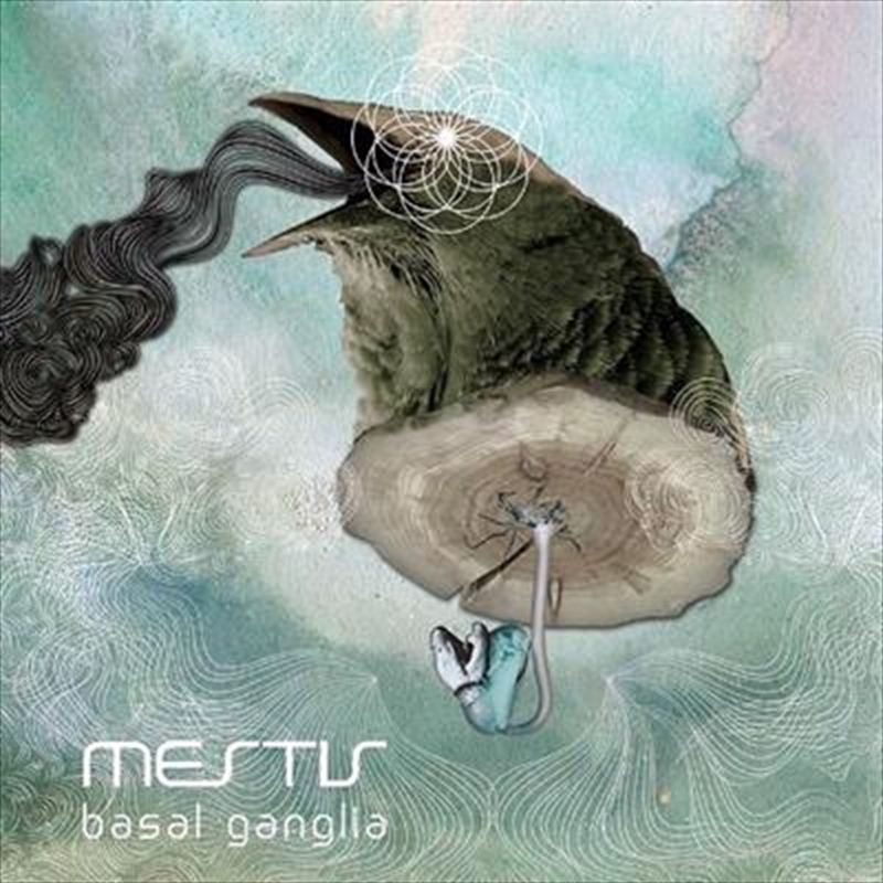 Basal Ganglia/Product Detail/Rock