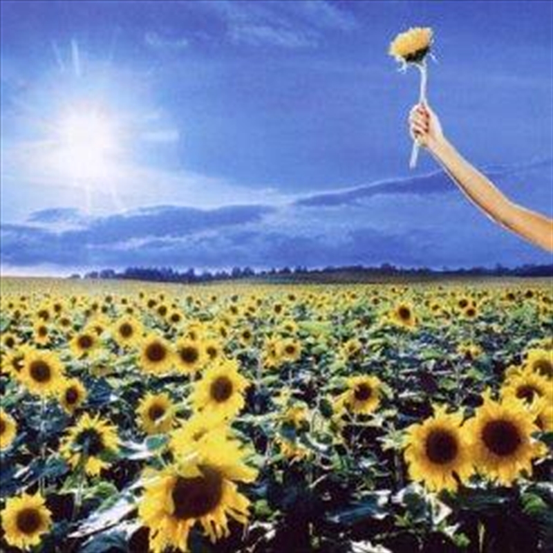 Thank You/Product Detail/Rock