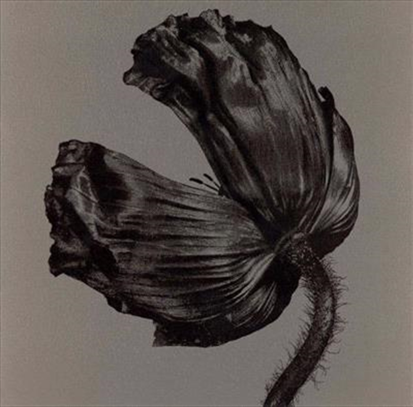 Release: 2017 Remastered/Product Detail/Pop