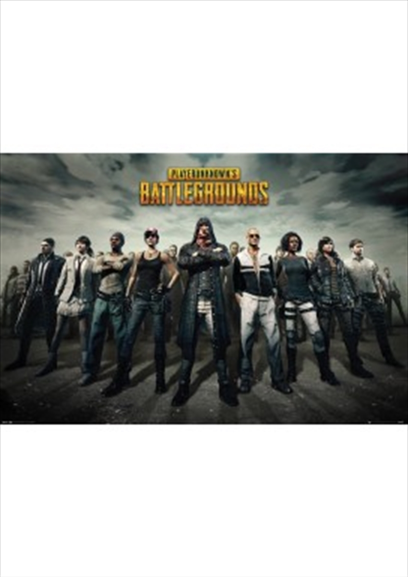 Pubg Group/Product Detail/Posters & Prints