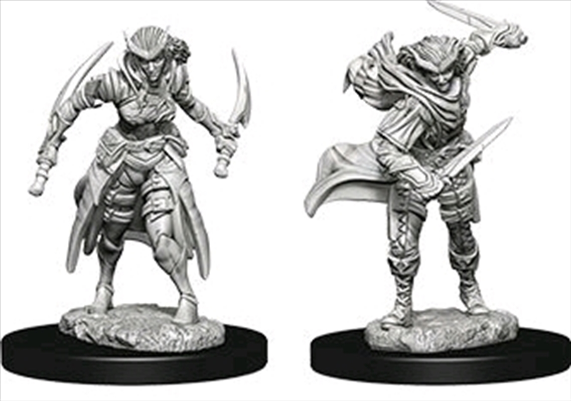 Dungeons & Dragons - Nolzur's Marvelous Unpainted Minis: Tiefling Female Rogue/Product Detail/RPG Games