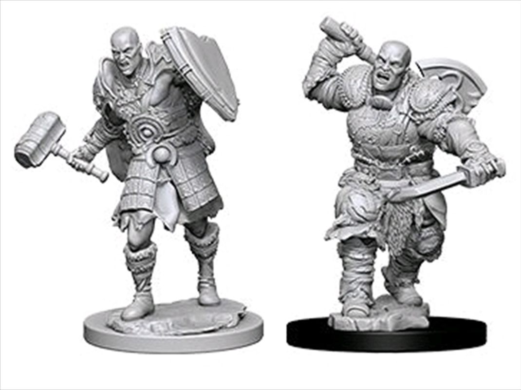 Dungeons & Dragons - Nolzur’s Marvelous Unpainted Minis: Male Goliath Fighter/Product Detail/RPG Games