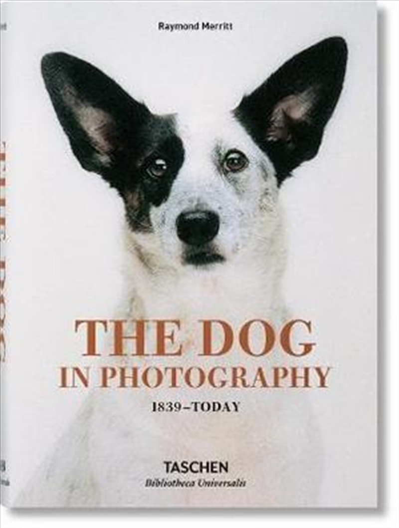 Dog In Photography 1839-Today/Product Detail/Reading
