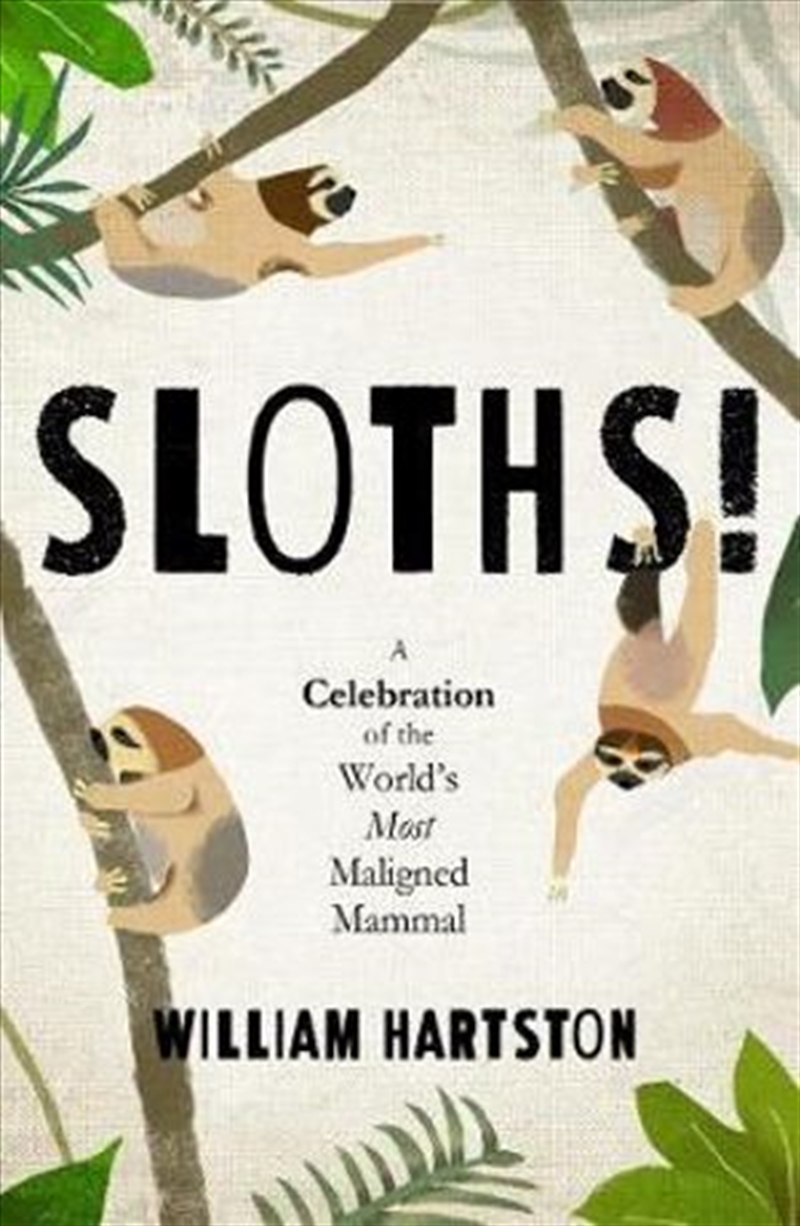 Sloths!/Product Detail/Animals & Nature