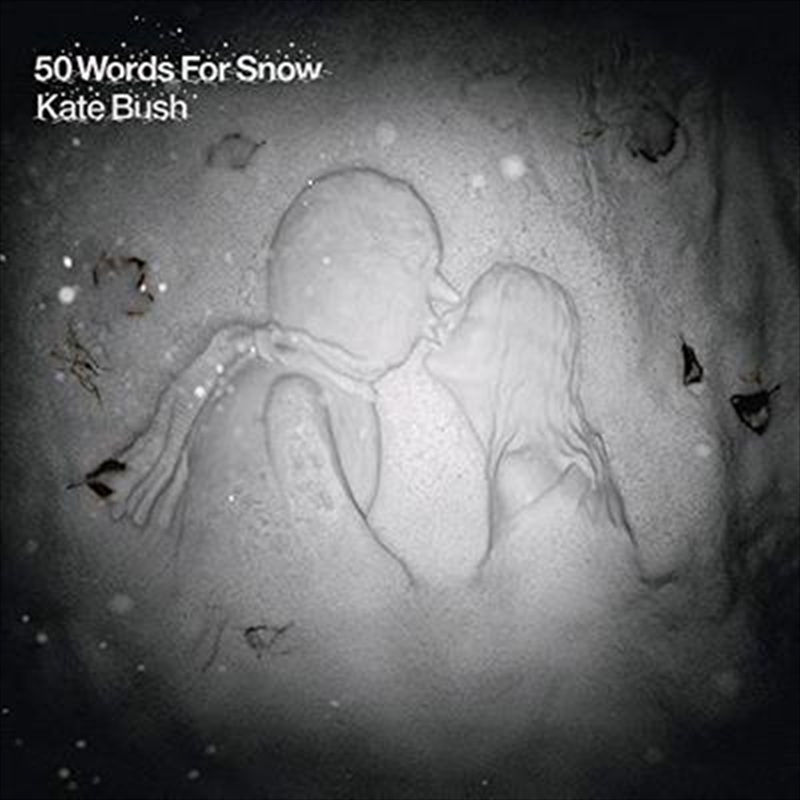 50 Words For Snow/Product Detail/Rock