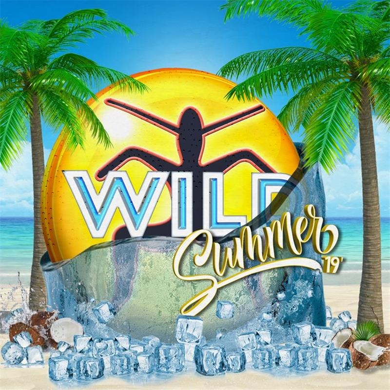 Wild Summer 2019/Product Detail/Compilation