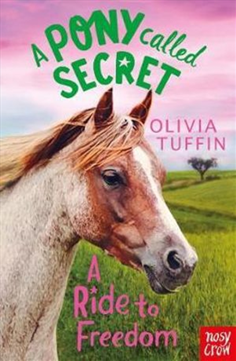 A Ride To Freedom (Pony Called Secret)/Product Detail/Childrens Fiction Books