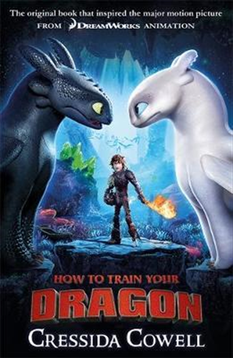 How to Train Your Dragon/Product Detail/Childrens Fiction Books