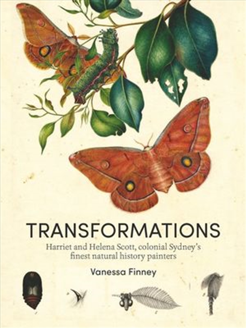 Buy Transformations by Vanessa Finney in Books | Sanity