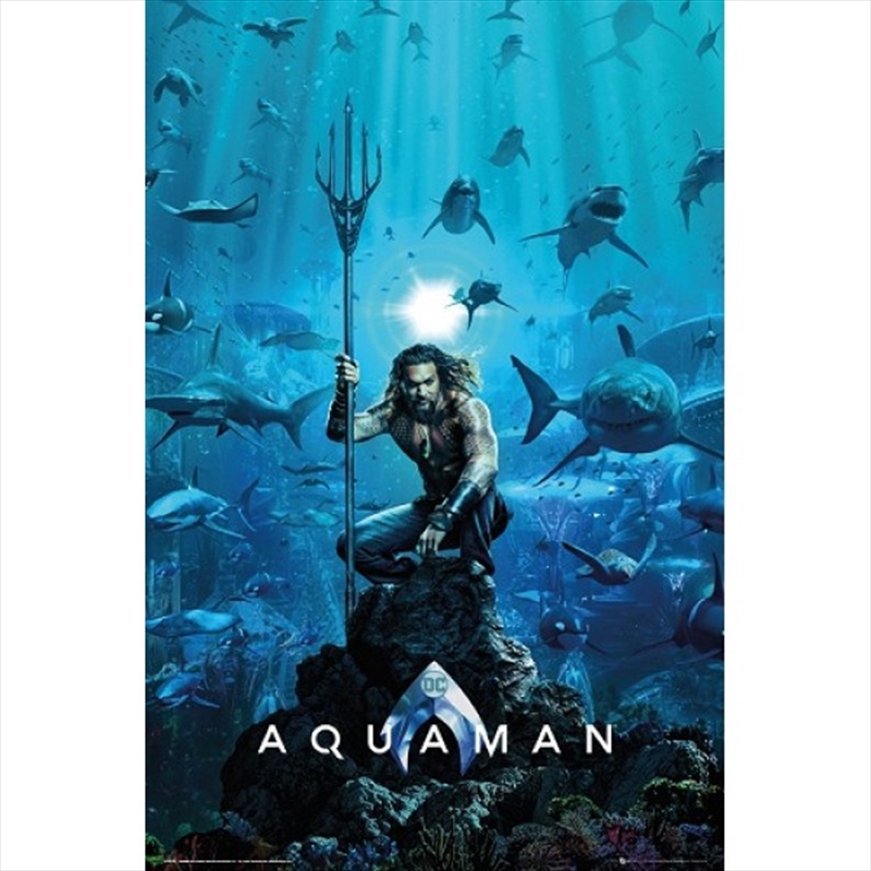 DC Comics Aquaman One Sheet | Merchandise