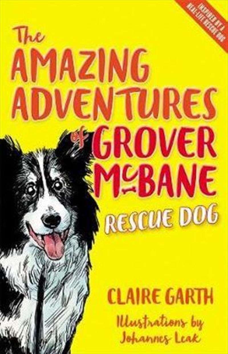 The Amazing Adventures of Grover McBane, Rescue Dog/Product Detail/Childrens Fiction Books