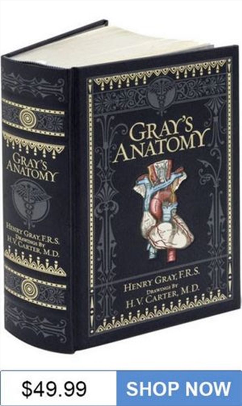 Gray's Anatomy/Product Detail/Reading