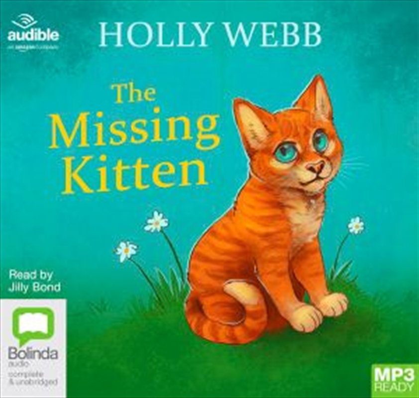 The Missing Kitten/Product Detail/General Fiction Books