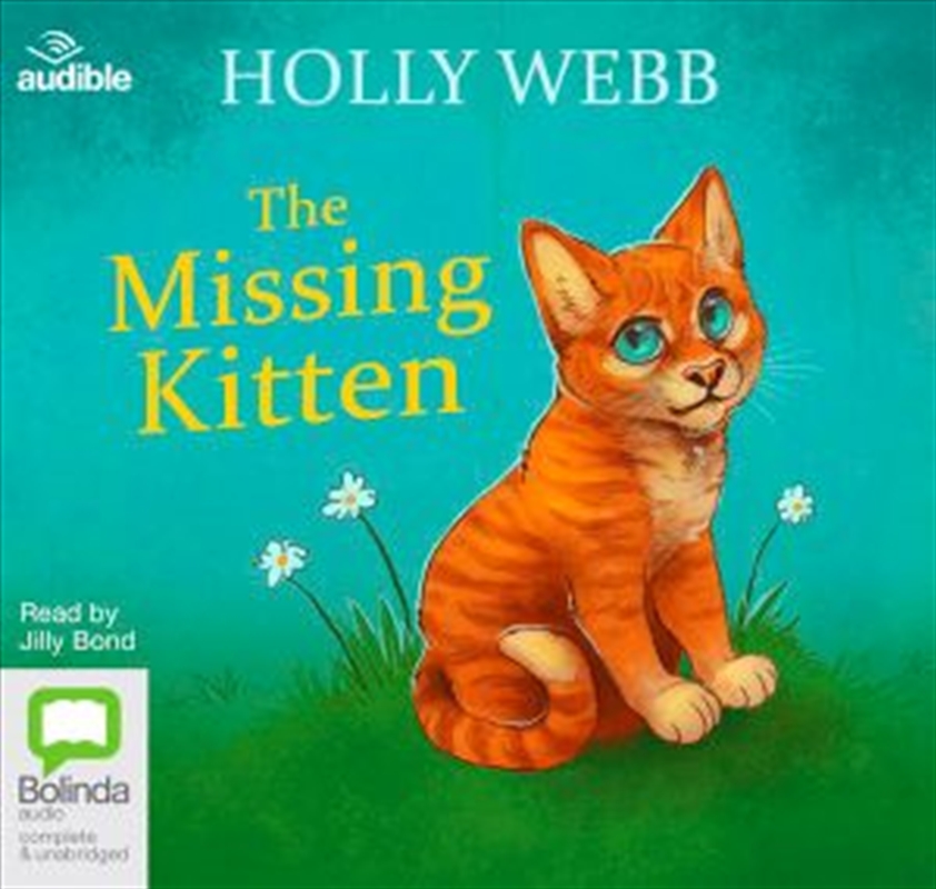 The Missing Kitten/Product Detail/General Fiction Books