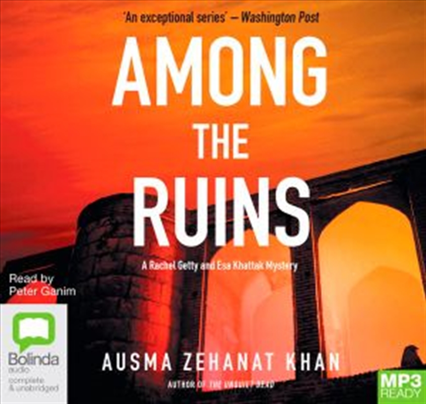 Among the Ruins/Product Detail/Crime & Mystery Fiction