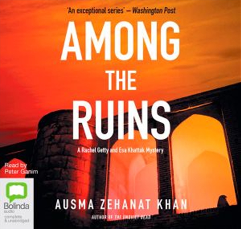 Among the Ruins/Product Detail/Crime & Mystery Fiction