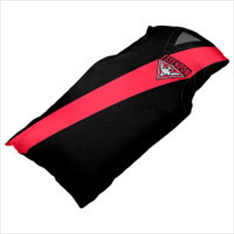 AFL Cushion Guernsey Essendon Bombers/Product Detail/Manchester