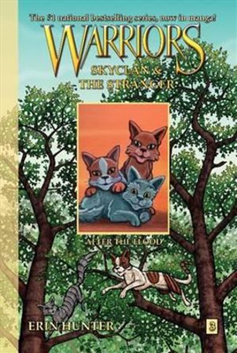 Warriors: Skyclan And The Stranger 3 - After The Flood/Product Detail/Graphic Novels